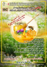 Poster of The first national beekeeping conference and the first National Honey Quality Award