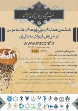 Poster of The 6th National Conference on Modern Research In the field of language and literature of Iran (With participatory culture approach)