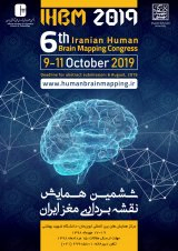 Poster of 6th iranian human brain mapping congress