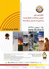 Poster of HSE National Conference on Crisis Management: A Look at Iran