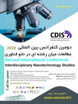 Poster of 2nd International Conference on Interdisciplinary Nanotechnology Studies