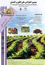 Poster of The third National Conference of Grapes and Raisins