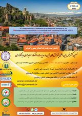 Poster of 9th International Conference on New Research in Management, Economics, Accounting and Banking