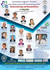 Poster of International Conference/Workshop of Inter-Islamic Network on Nanotechnology (INN) on Nanotechnology and Nanomedicine