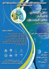 Poster of 3rd Symposium on Stem Cell and Cell Therapies in Lung Diseases