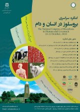 Poster of Congress of Brucellosis in humans and livestock