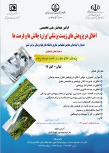 Poster of The first national ethics congress in Iranian biomedical research